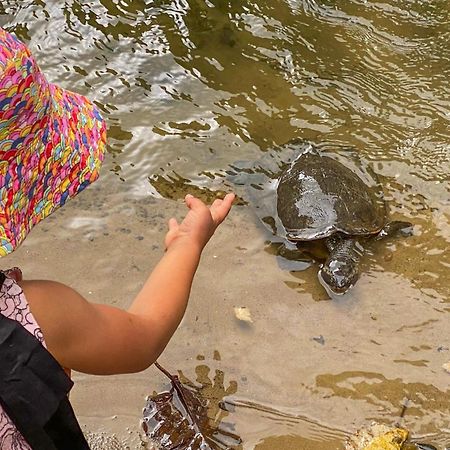Tasman Holiday Parks - Cairns Cool Waters ภายนอก รูปภาพ