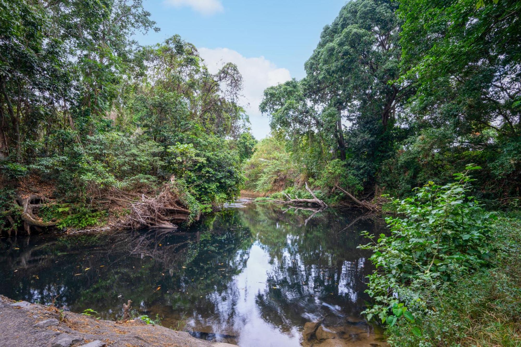 Tasman Holiday Parks - Cairns Cool Waters ภายนอก รูปภาพ